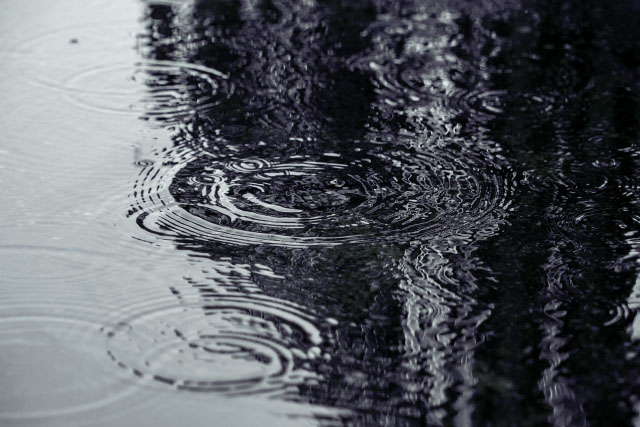 梅雨の風景